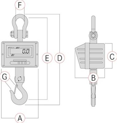 Dynamomètre HFM