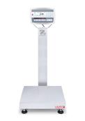 Balance modulaire DEFENDER 5000 INOX SINGLE RANGE homologuée